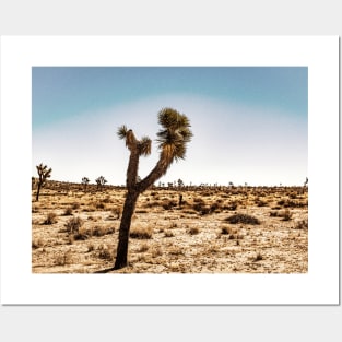 Joshua Tree National Park, California Posters and Art